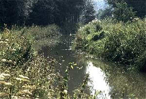 Durme- en Scheldeland