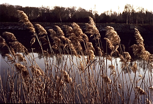 Durme- en Scheldeland