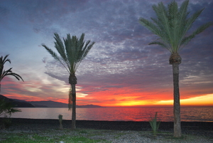 Sunrise 2010