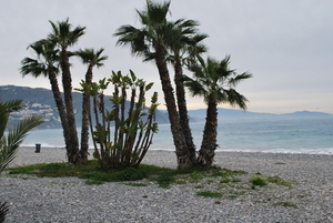 Playa de Velilla