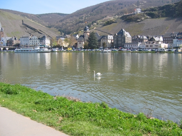 Bernkastel 007