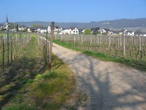 Bernkastel 015