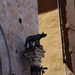 %italie[177]