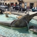 %italie[226]
