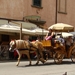%italie[34]