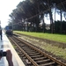 %italie[85]