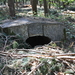 New Zealand Bunker in het bos