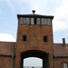 Auschwitz Birkenau