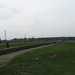 Auschwitz  Birkenau