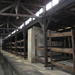 Birkenau
