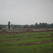 Birkenau