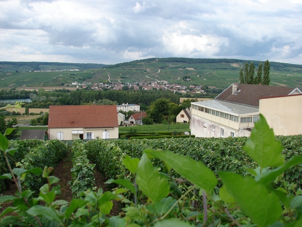 2010-08-06 Epernay 118