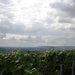 2010-08-06 Epernay 155