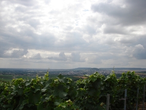 2010-08-06 Epernay 155