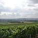 2010-08-06 Epernay 156