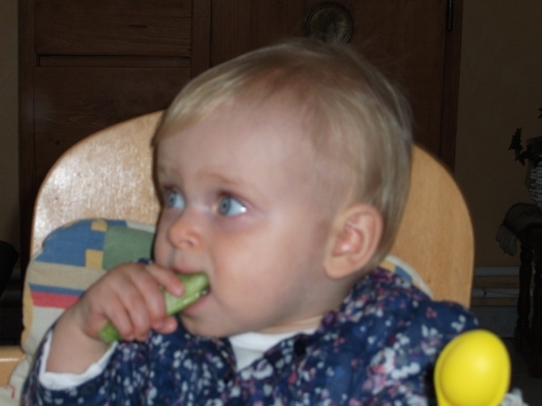 Afbeelding 008