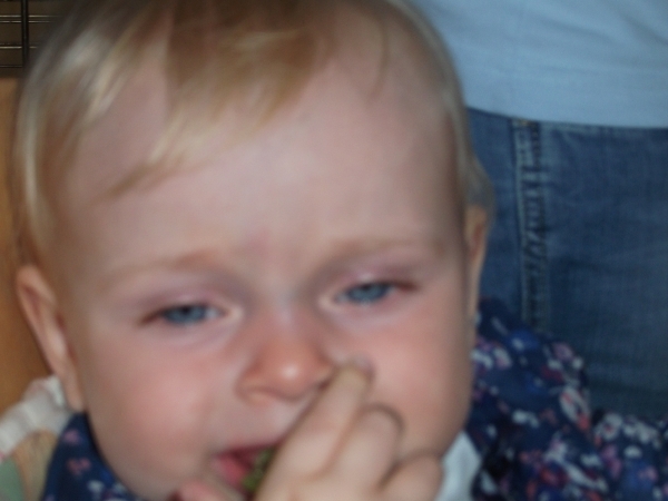 Afbeelding 009