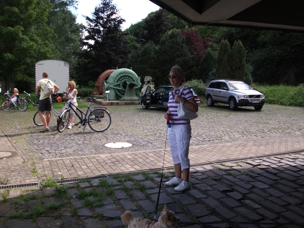 Afbeelding 016