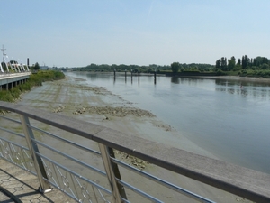 Boomse kleiputten - 27-06-10 001