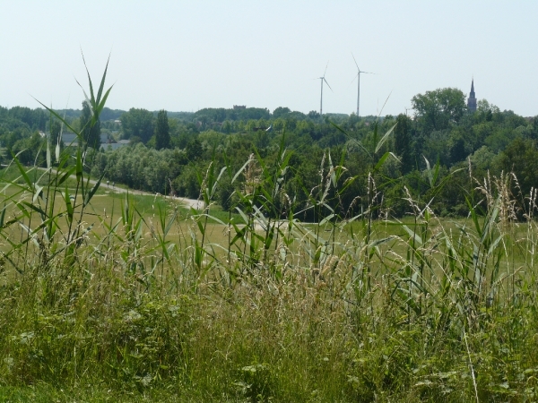 Boomse kleiputten - 27-06-10 036