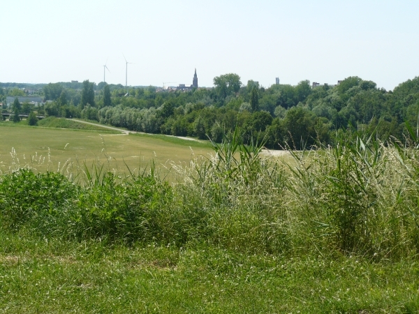 Boomse kleiputten - 27-06-10 037