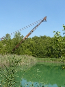 Boomse kleiputten - 27-06-10 044