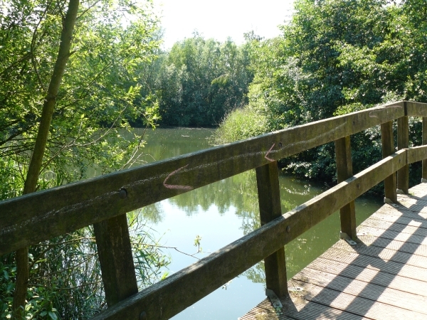 Boomse kleiputten - 27-06-10 046