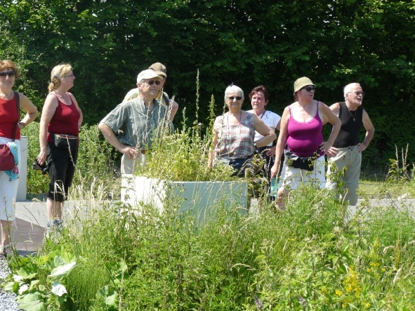 Boomse kleiputten - 27-06-10 047