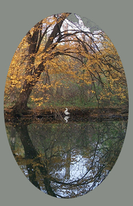 CIMG0847- Herfst in 't Rivierenhof Deurne