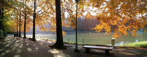 Vijver Rivierenhof (Deurne) in herfsttooi