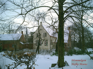 Wommelgem - dorpszicht