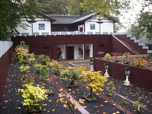 IMGP5270