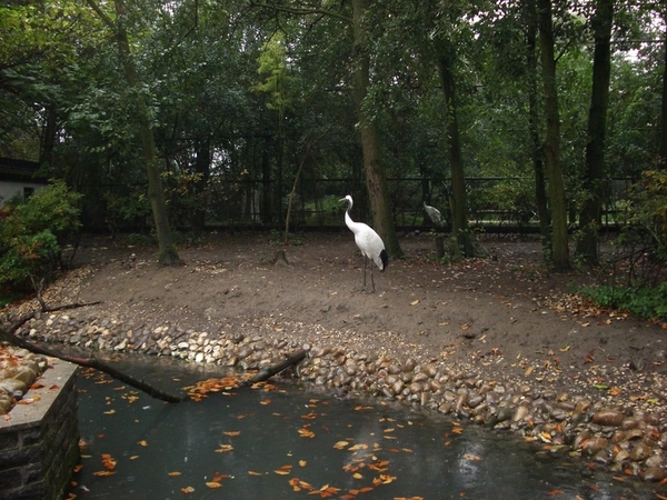 IMGP5280