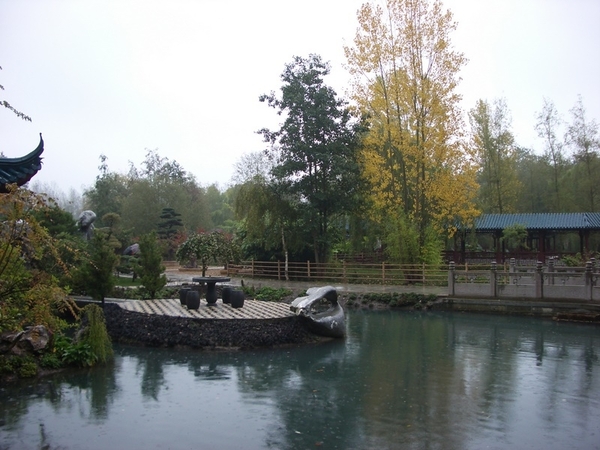 IMGP5294