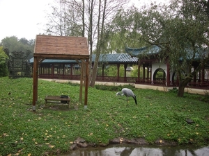 IMGP5310