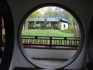 IMGP5317