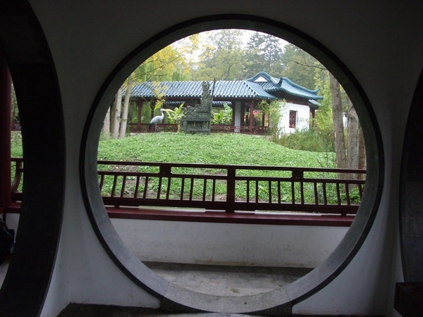IMGP5317