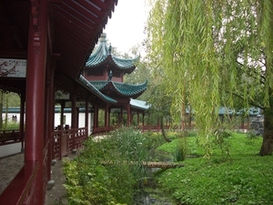 IMGP5318
