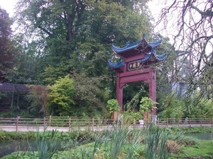IMGP5328