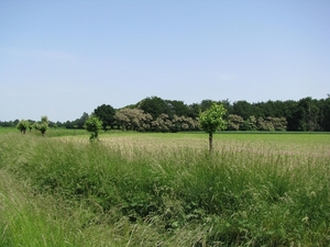 Drempt (01)