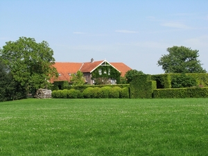 Toldijk (01)