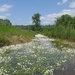 Varsseveld (02)