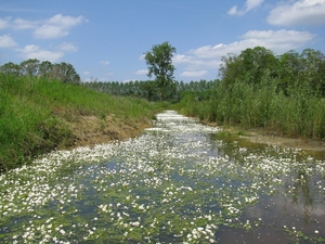 Varsseveld (02)