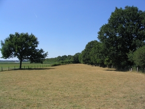 Winterswijk omg. (02)