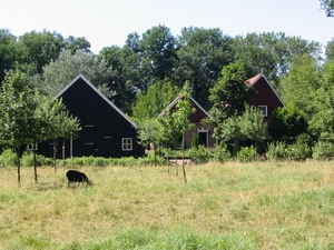 Winterswijk omg. (03)