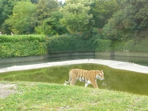 20100812 bellewaerde (109)