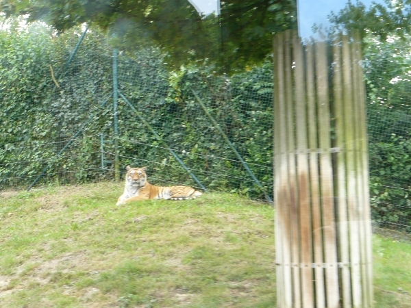 20100812 bellewaerde (110)