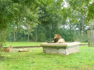 20100812 bellewaerde (120)