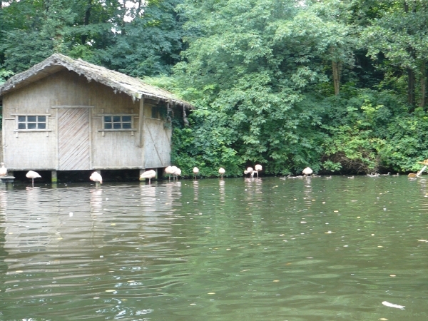 20100812 bellewaerde (64)