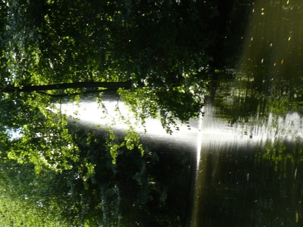 20100812 bellewaerde (82)